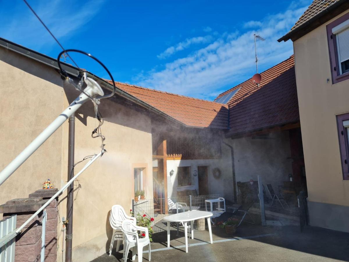 Les Chouchous Du Ried 1 Apartment Saasenheim Ngoại thất bức ảnh