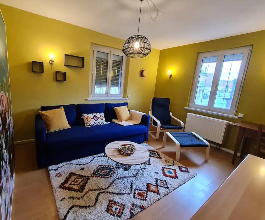 Les Chouchous Du Ried 1 Apartment Saasenheim Ngoại thất bức ảnh